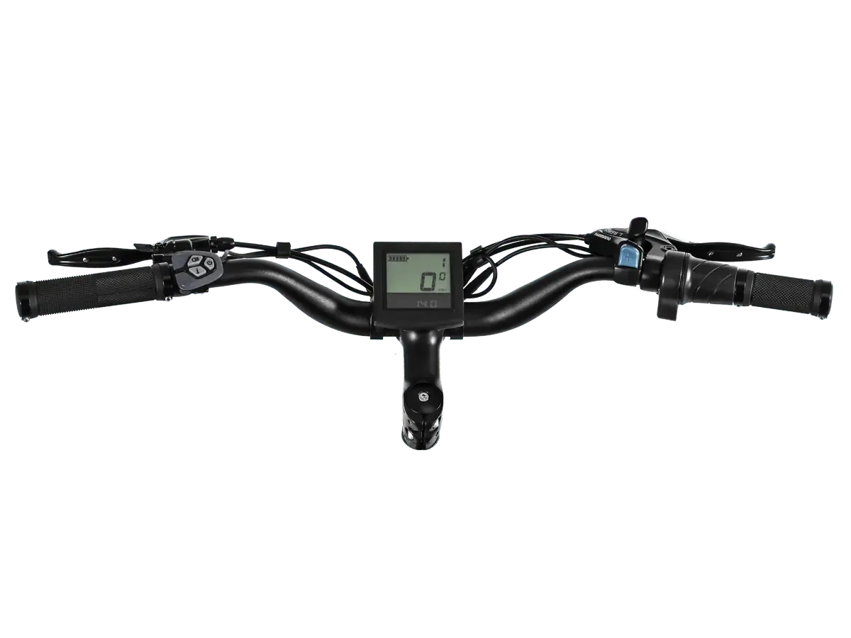 D3(Cruiser) / Long Range Fat Tire Electric Bike