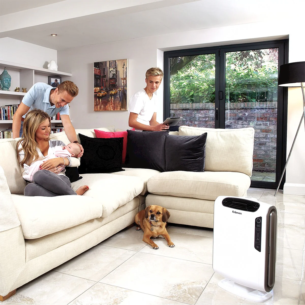 AeraMax DX55 HEPA Air Purifier
