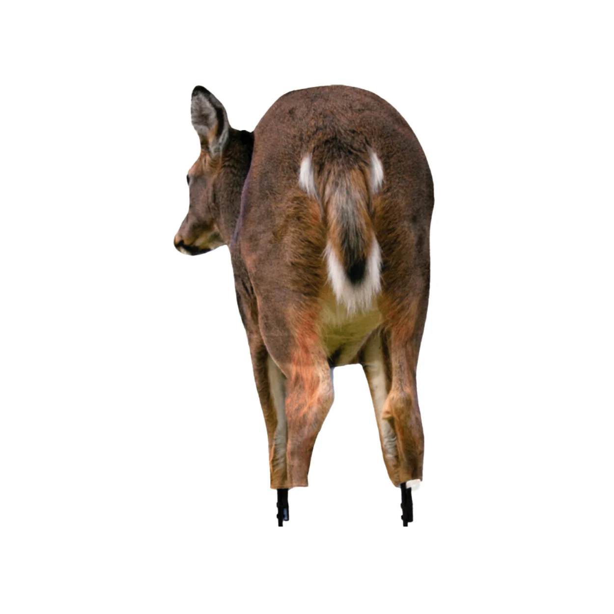 Montana Decoy Deer Rump Whitetail Decoy  Lightweight and Foldable Hunting Decoy