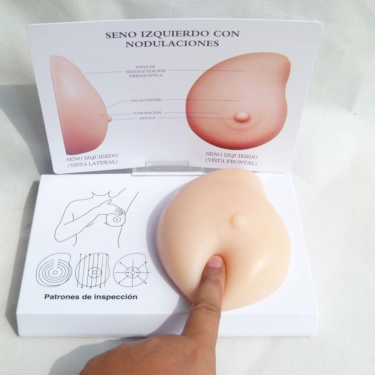 Female Breast Examination Model,Silicone Breast Cancer Model,Pathological Breast Model - Lumps Pathological Breast Self Test Model Medical Tool