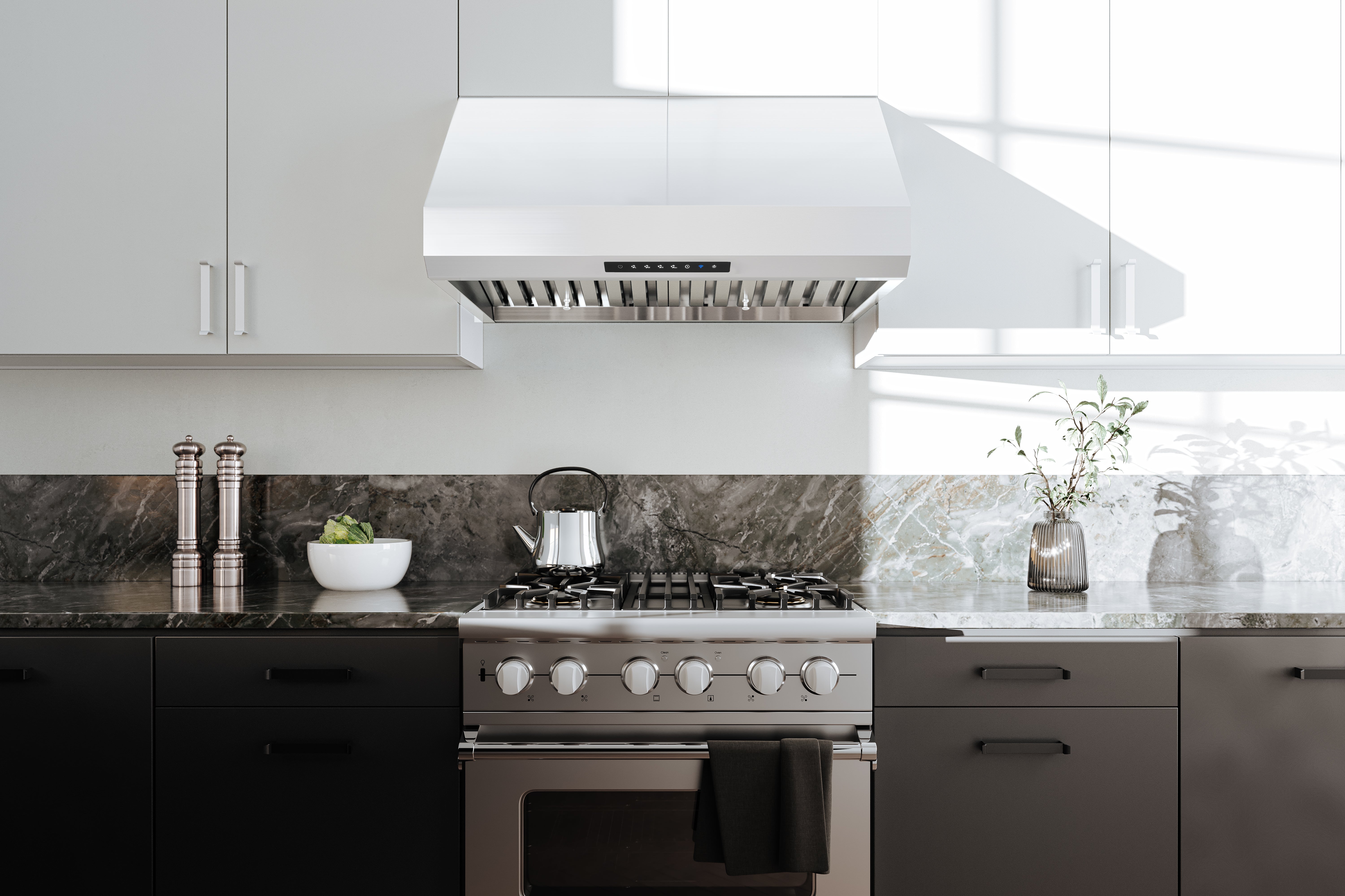 Hauslane 540 CFM Pro-Style Under Cabinet and Wall Mount Range Hood in Stainless Steel (PRO500SS)