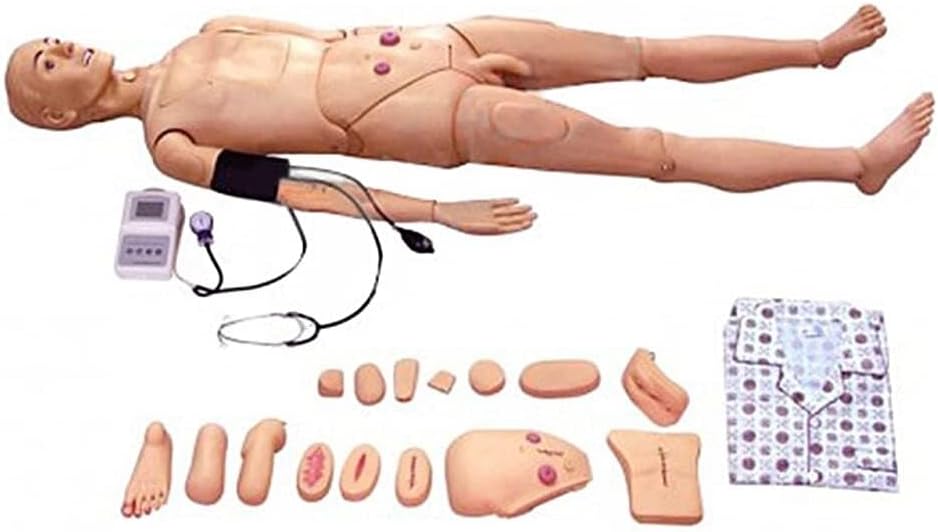 Medical Training Skills Fully Function Patient Care Training Model with Blood Pressure Measurement Trauma Simulator Teaching
