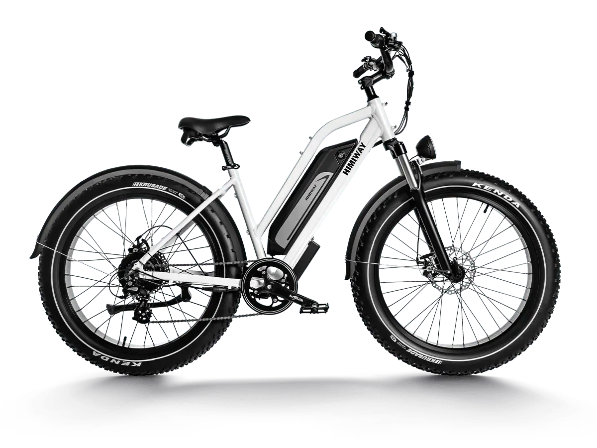 D3 ST(Cruiser ST) / All Terrain Electric Bike