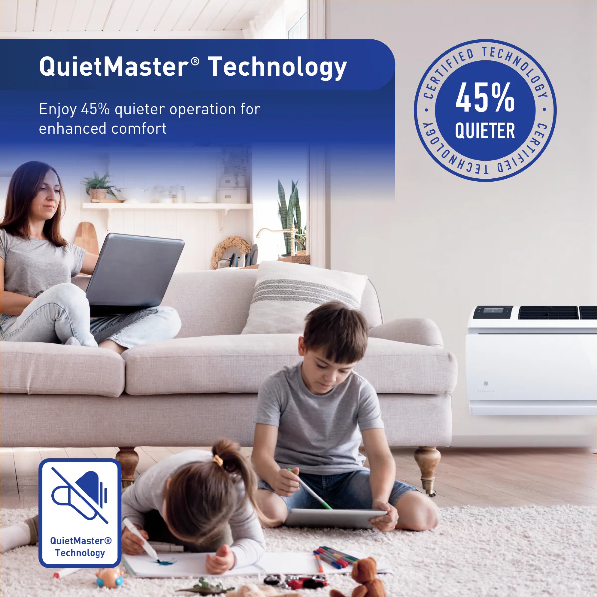 Friedrich Wallmaster 10,000 BTU Through-the-Wall Air Conditioner