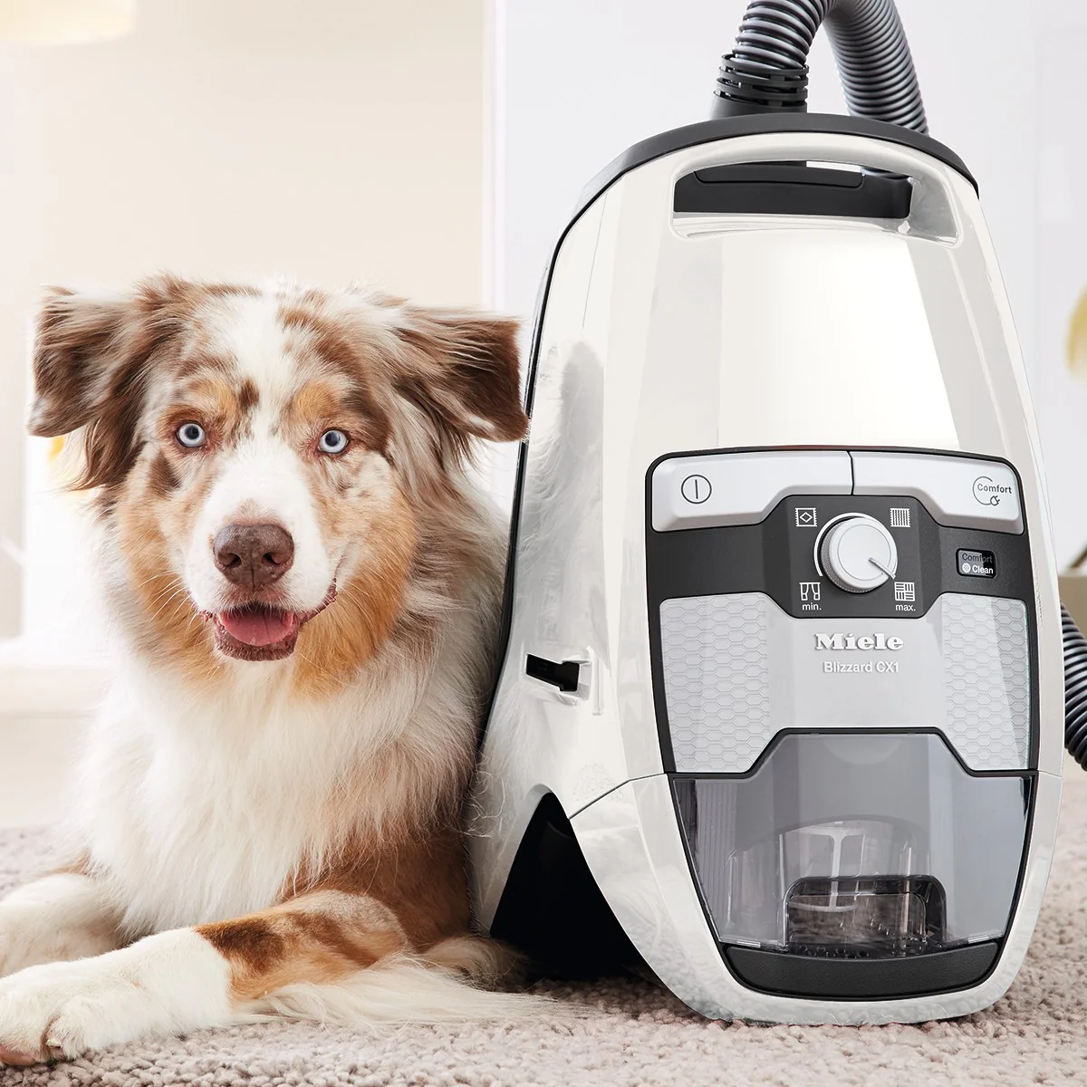 Miele Blizzard CX1 Cat & Dog Canister Vacuum