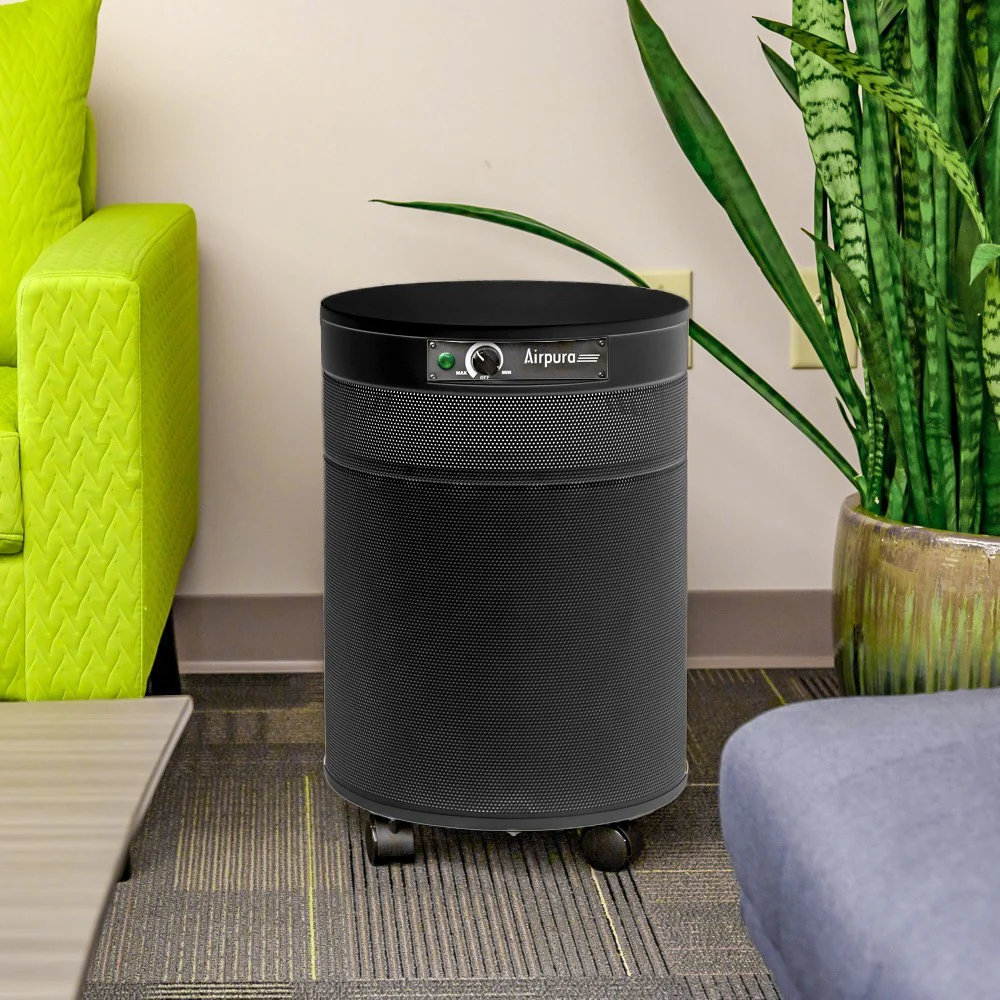 Airpura T700/T700DLX Air Purifier