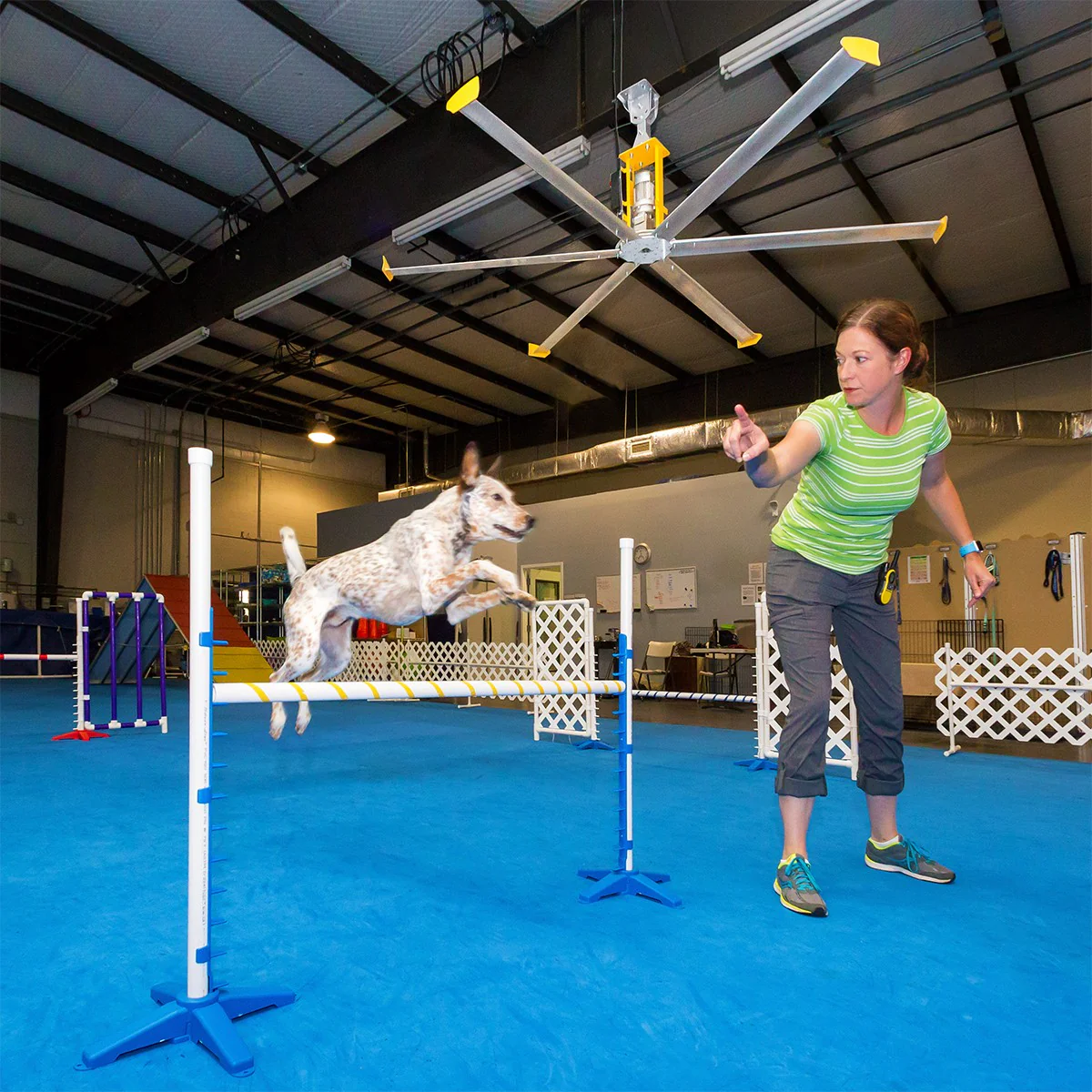 Big Ass Fans 14-ft SHOPFAN HVLS Ceiling Fan