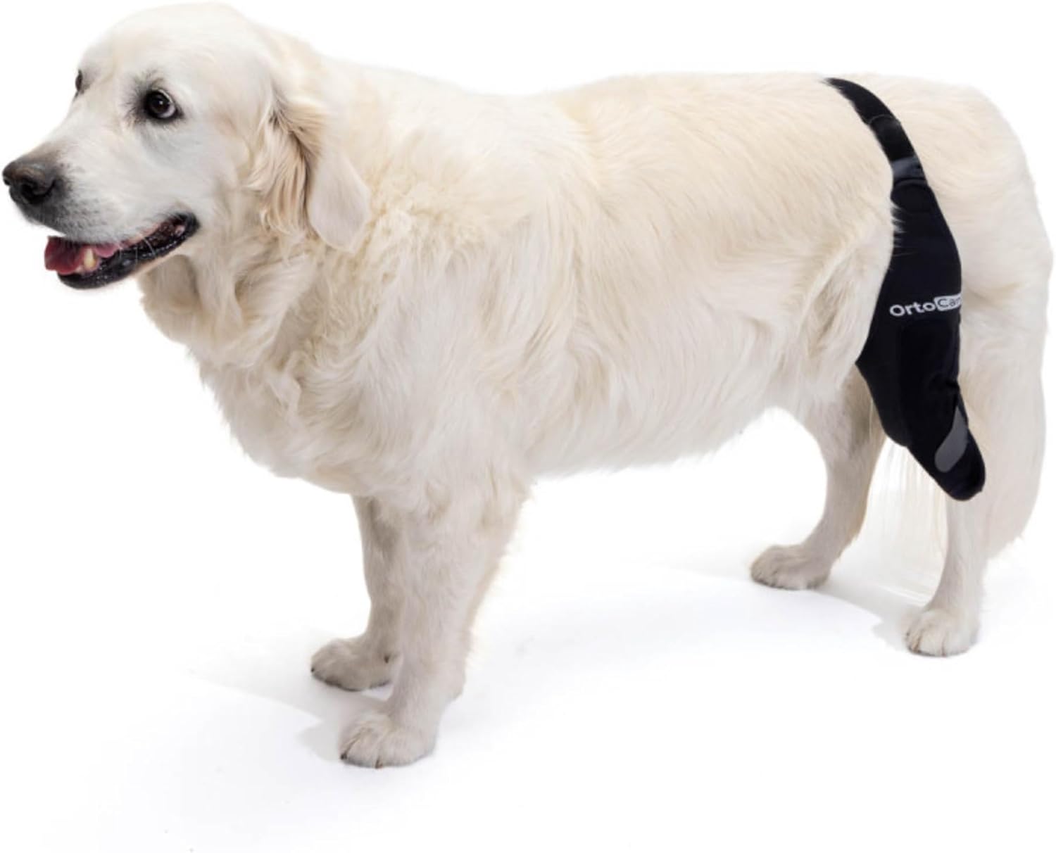 Ortocanis Dog Knee Brace for Torn Acl Hind Leg, Ligament Rupture and Patella Luxation - Dog Acl Knee Brace - Dog Braces for Back Leg for Support - Dog Back Leg Support Brace (Size L, Left Leg)