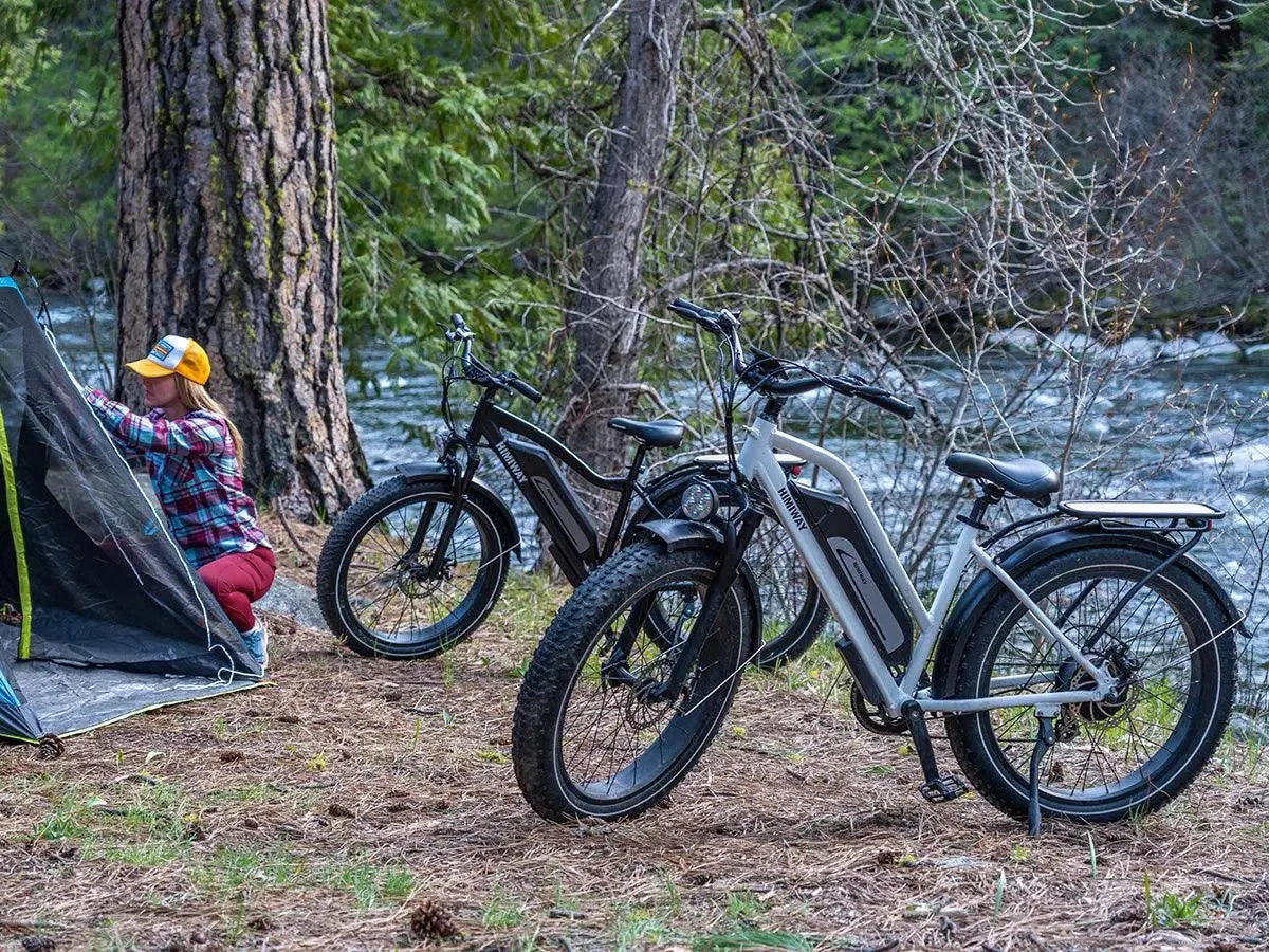 D3 ST(Cruiser ST) / All Terrain Electric Bike