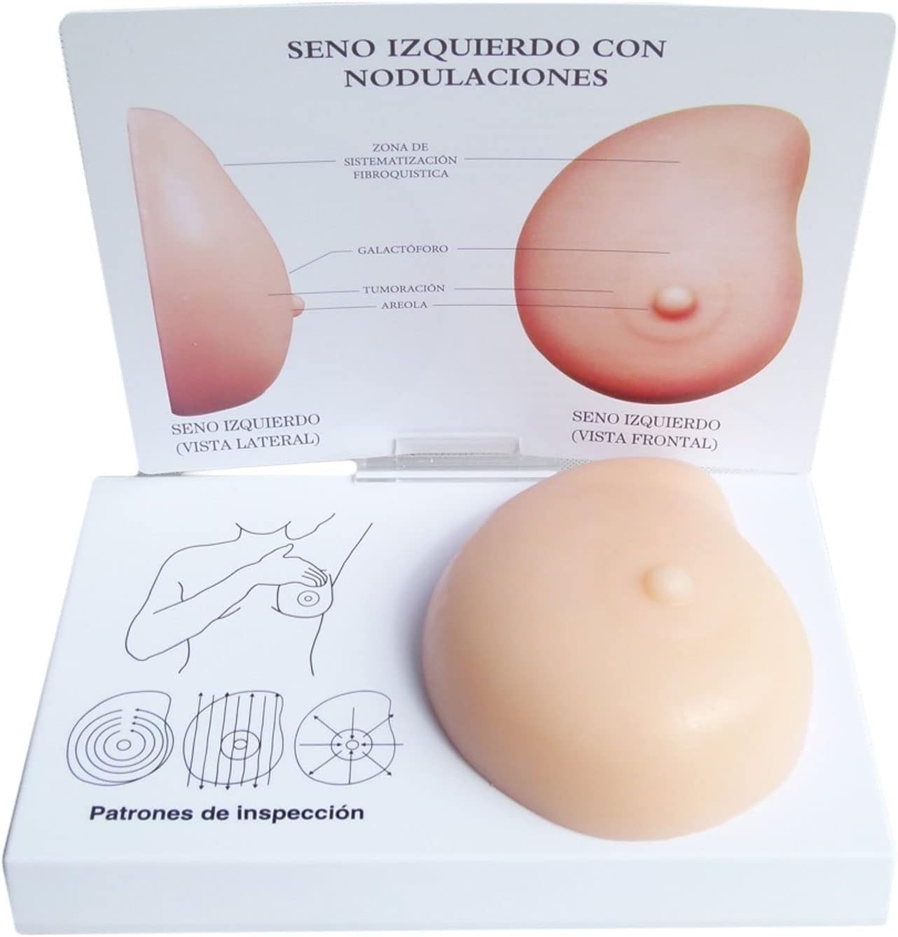 Female Breast Examination Model,Silicone Breast Cancer Model,Pathological Breast Model - Lumps Pathological Breast Self Test Model Medical Tool