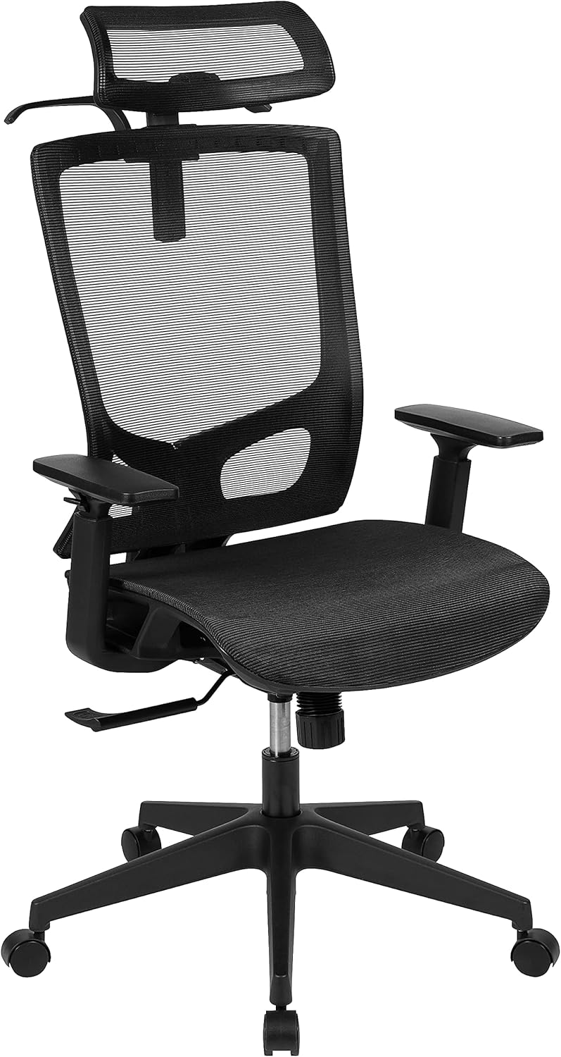 Flash Furniture Layla Ergonomic Mesh Office Chair with Synchro-Tilt, Pivot Adjustable Headrest, Lumbar Support, Coat Hanger and Adjustable Arms in Black