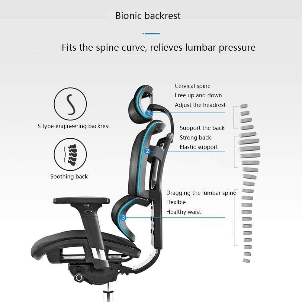 Commercial Ergonomic High Back Executive Mesh Chair, with Adjustable Lumbar Support, Headrest and 3D Armrests Configure Chassis Functions (A One Size)