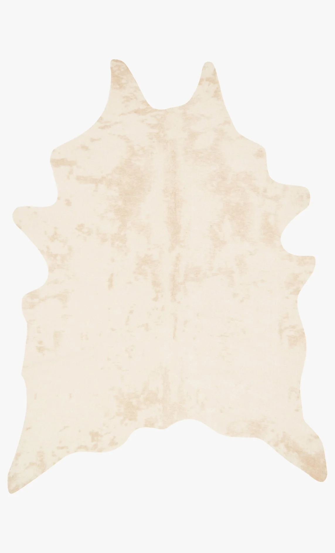 Loloi II Grand Canyon Collection - Transitional Power Loomed Rug in Ivory (GC-10)