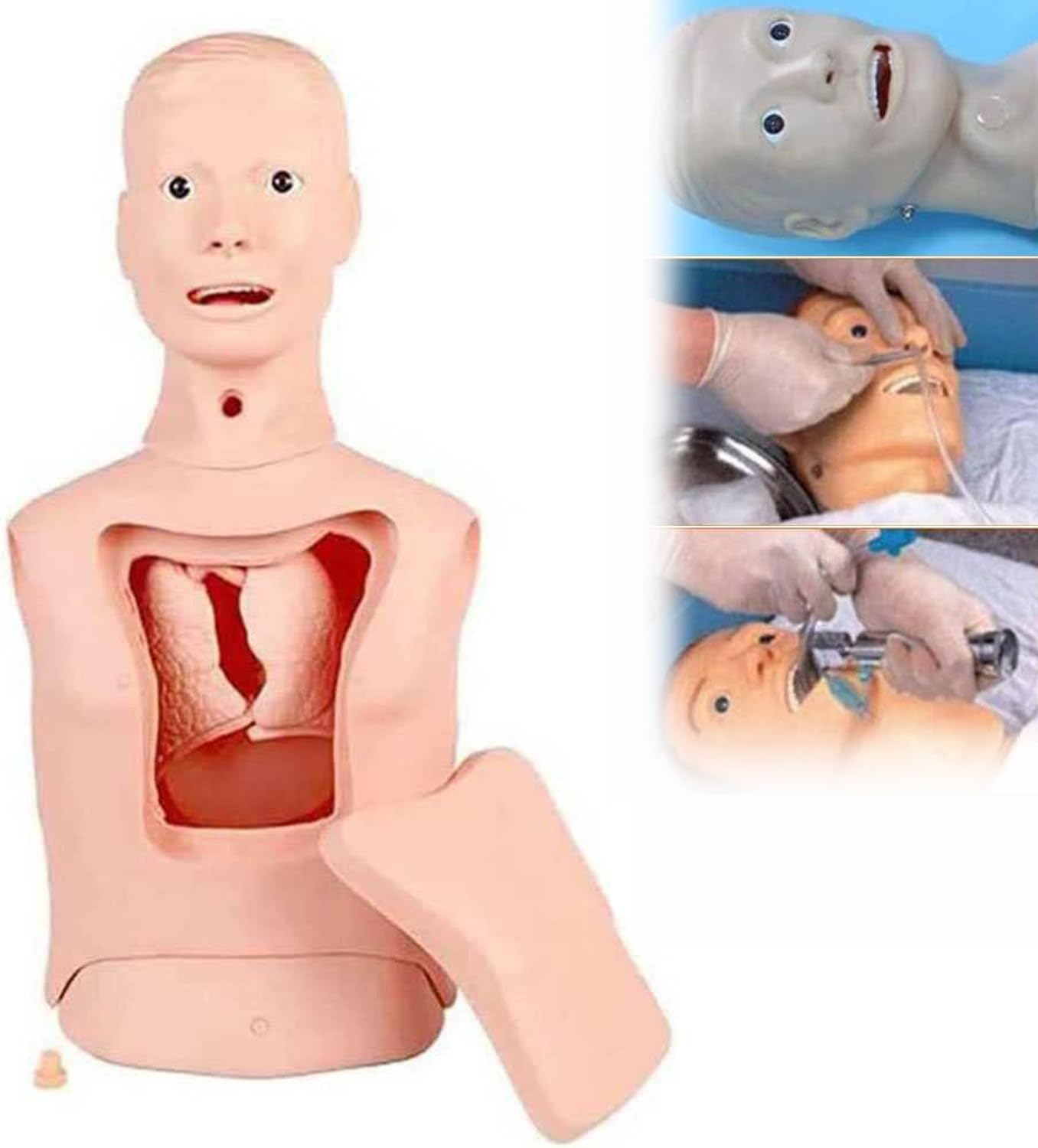 Intubation Gastric Tube Model Training Manikin Advanced Nasogastric Tube and Trachea Care Model Gastric Lavage Tracheostomy Model for Nurse and Medical Students