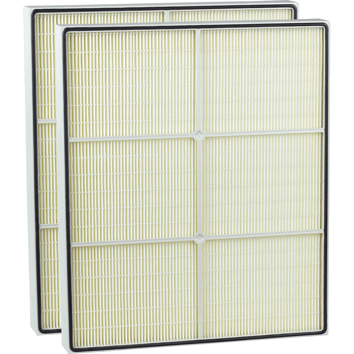 Dri-Eaz HEPA 500 Replacement HEPA Filter (F321) - 2 PACK