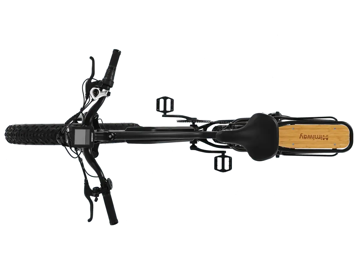 D3(Cruiser) / Long Range Fat Tire Electric Bike