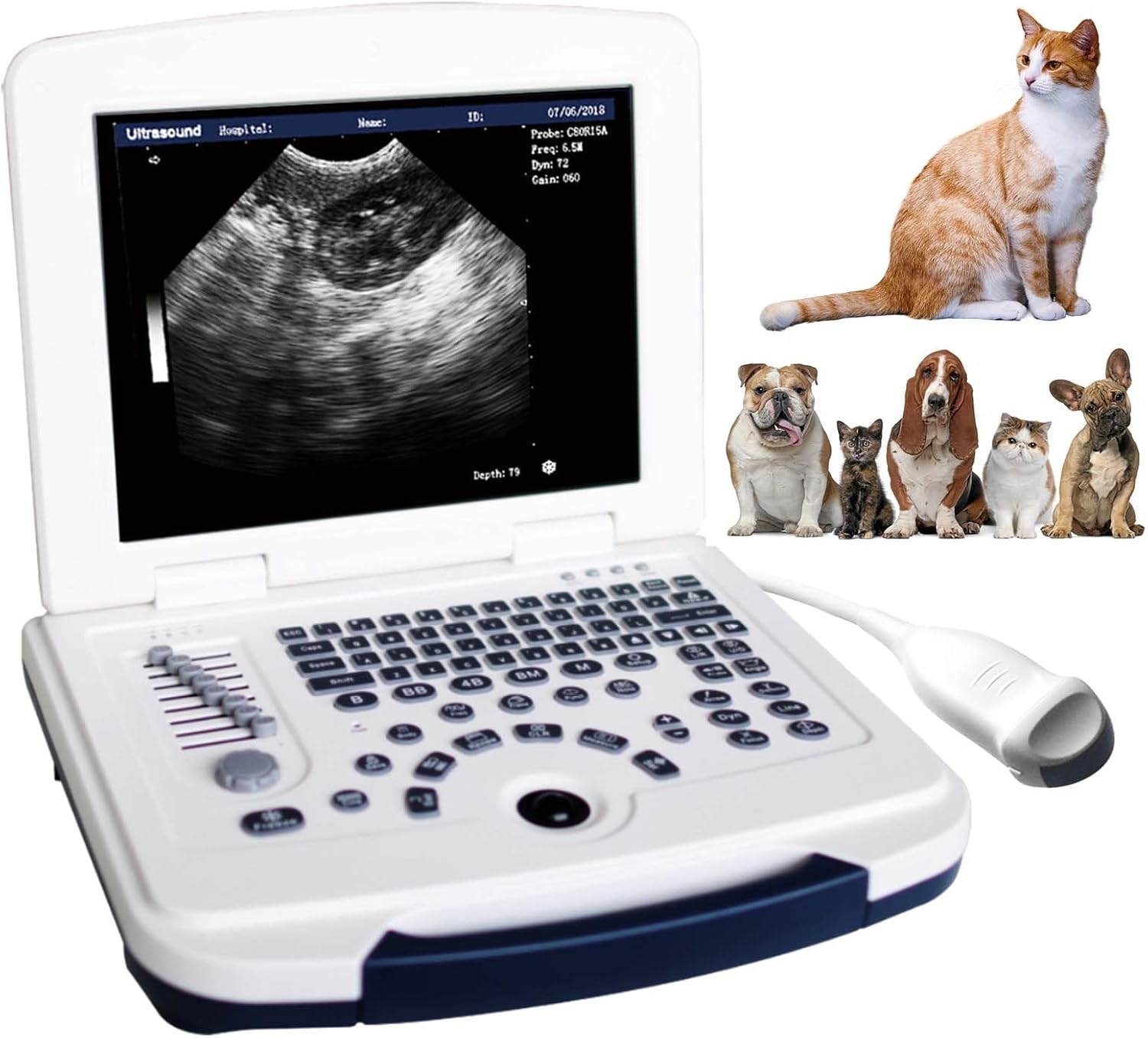 Portable Ultrasound Machine Laptop Vet Ultrasound Scanner with 6.5Mhz Micro Convex Probe for Pregnancy Pet,Rabbits,Sheep,Dogs,Cats,Small Animals