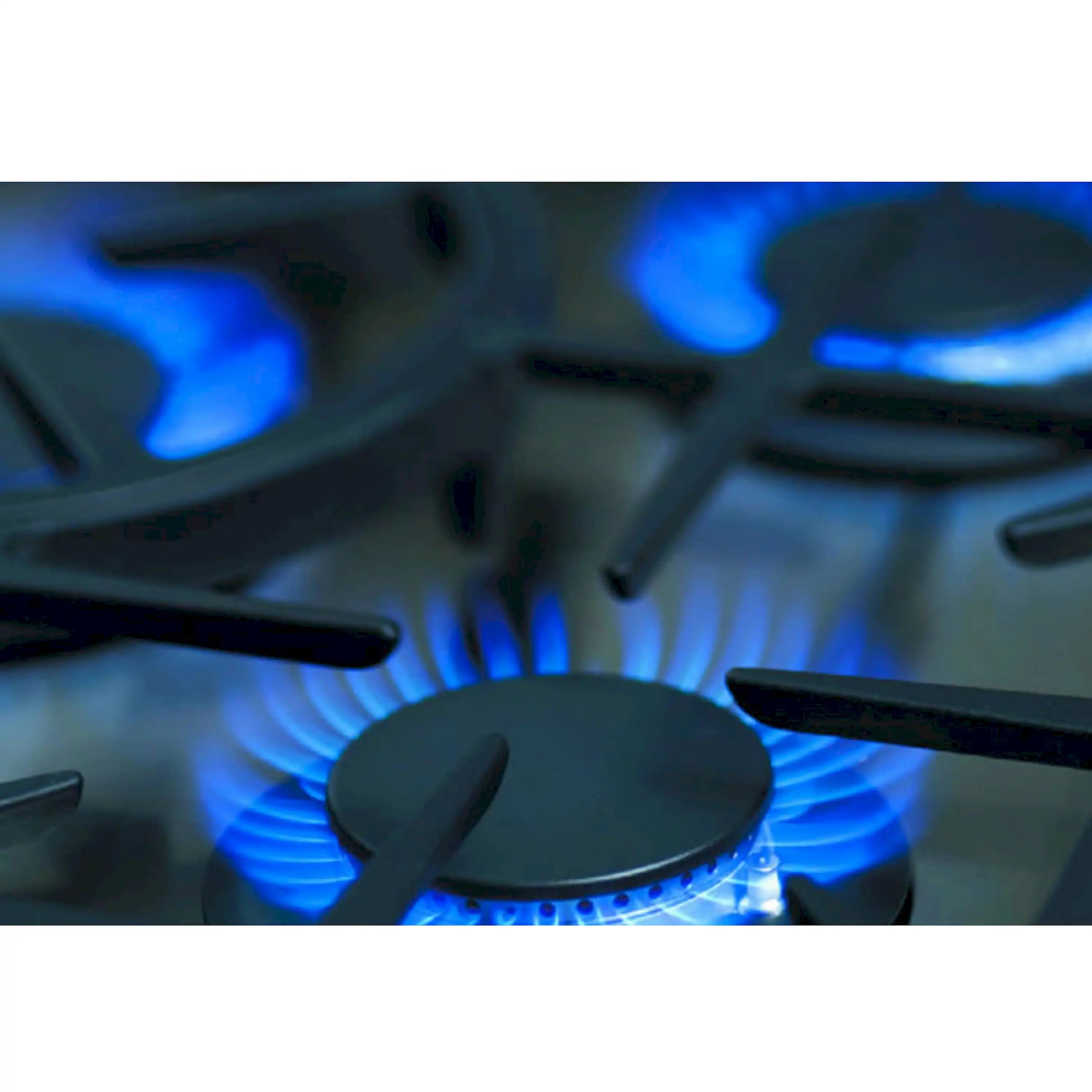 Capital 60-Inch Rangetop in Stainless Steel with 8 Sealed Burners & Griddle (GRT604G4)