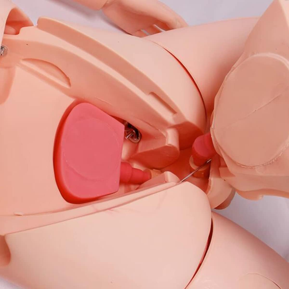 Multi-ctional Nursing Training Manikin Model Human Nursing Training Model Nursing Skills Mannequin Model for Teaching & Education Supplies