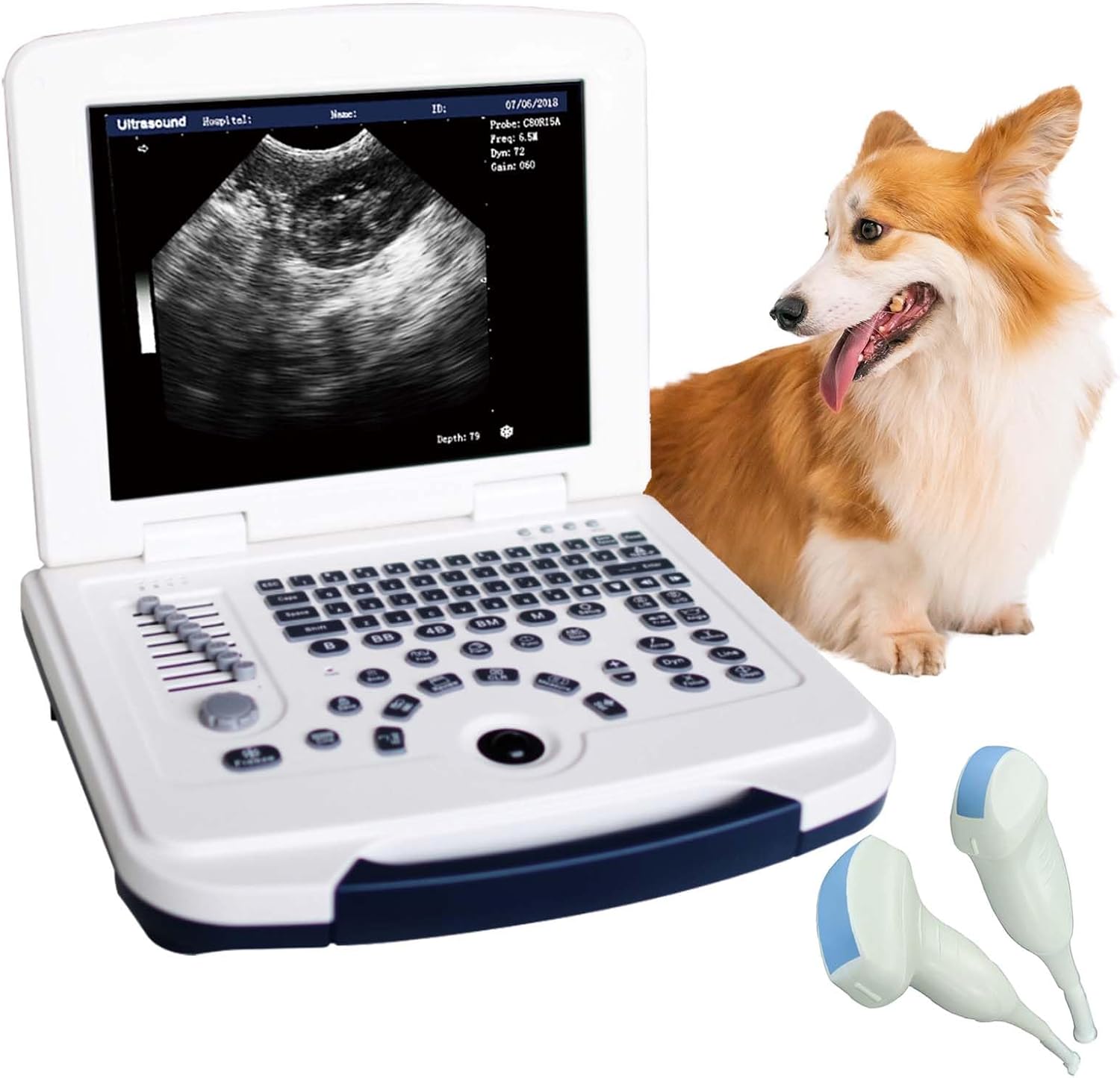DAWEI Veterinary Ultrasound Machine for Pregnancy Portable Mu10 Scanner with 3.5Mhz Convex Probe and 6.5Mhz Micro Convex Probe Waterproof Probe for Pig,Sheep,Dog,cat,pet use