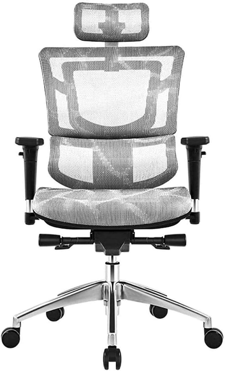 Commercial Ergonomic High Back Executive Mesh Chair, with Adjustable Lumbar Support, Headrest and 3D Armrests Configure Chassis Functions (E One Size)