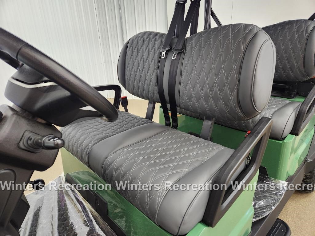 2025 Denago Rover XL6 Lithium Ion Golf Cart, Verdant