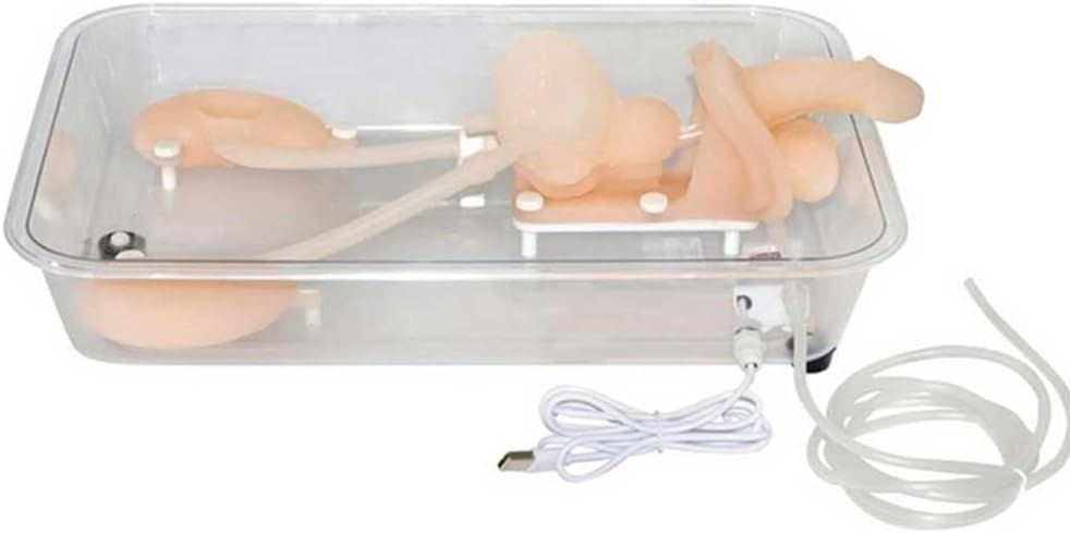 Manikin Anatomy Model, Ureteroscopy Simulation Training Model Silicone Kidney Model for Nurse, Medical Students Training Practice Use