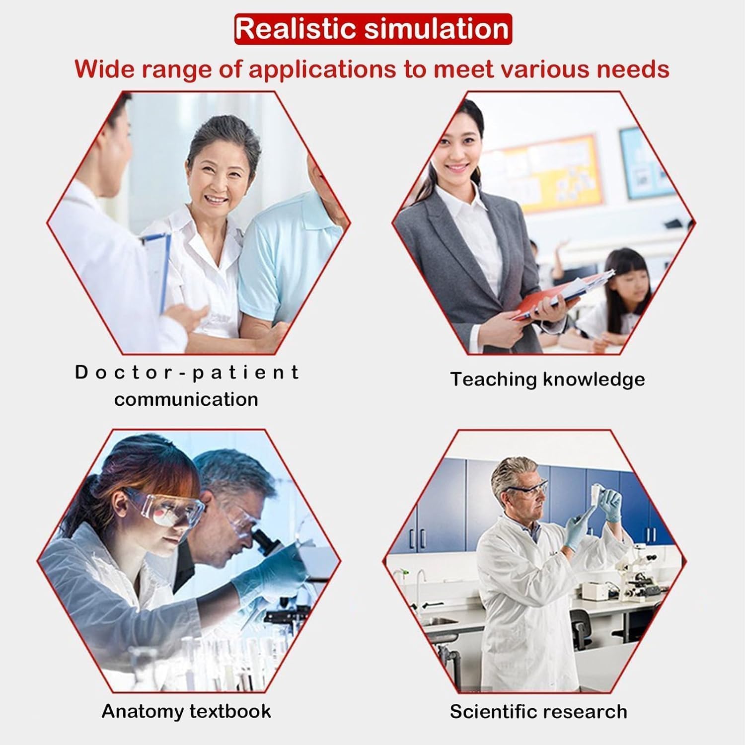 Human Alveolar Anatomical Model, Smoking Alveoli and Healthy Alveoli Comparison Model, Enlarged Alveolar Structure Model, with English Back Card, for Health Teaching
