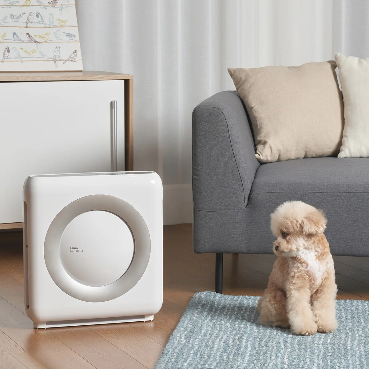 Coway Mighty Air Purifier with True HEPA Filtration
