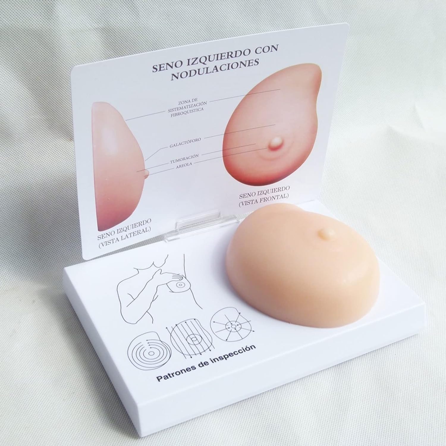 Female Breast Examination Model,Silicone Breast Cancer Model,Pathological Breast Model - Lumps Pathological Breast Self Test Model Medical Tool