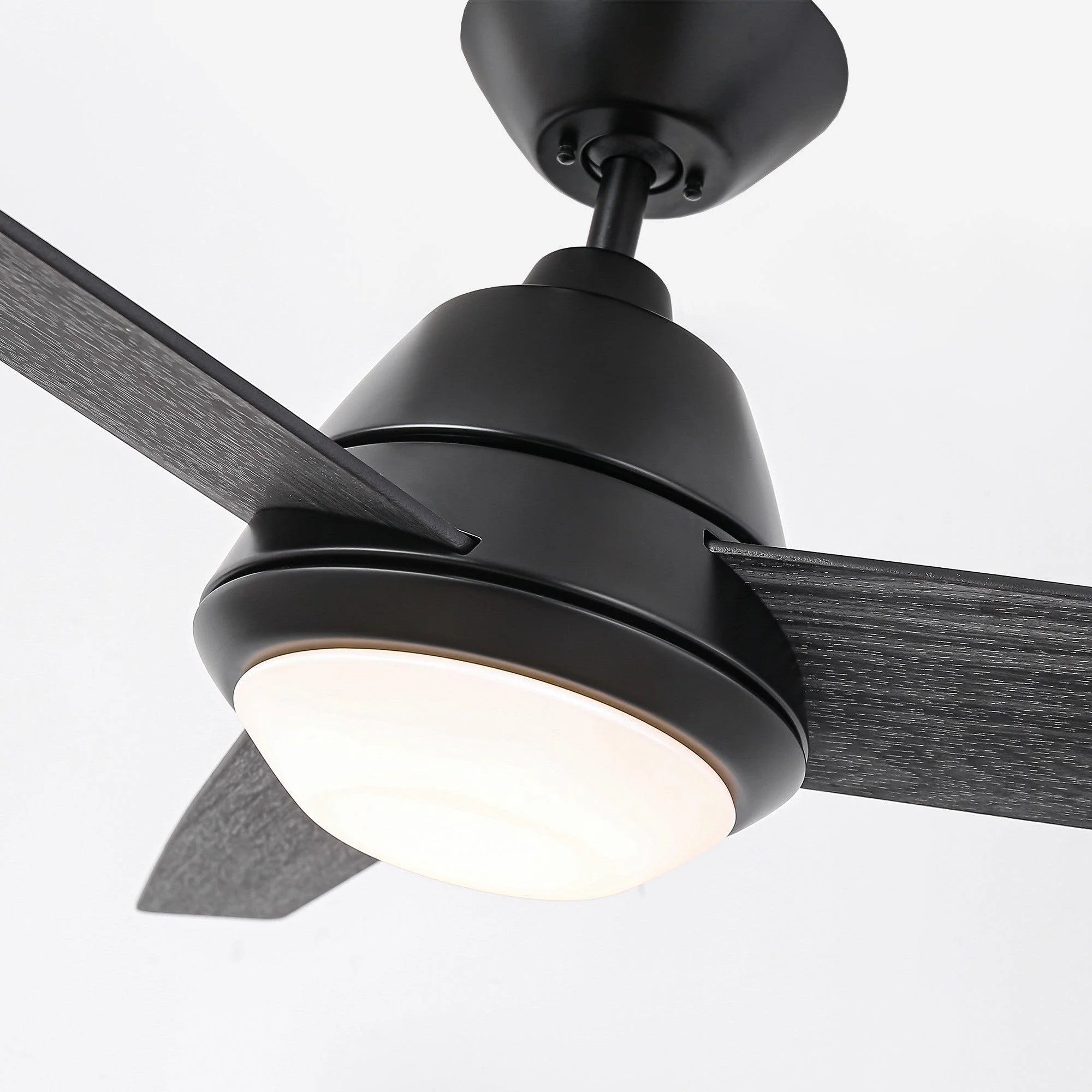 Parrot Uncle 52-Inch 4 Speed Wall Control Ceiling Fan with LED Lighting