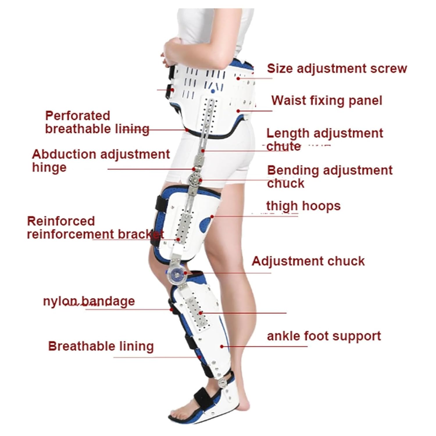Hinged Knee Support Brace,Hip Knee Ankle Foot Fixation Orthosis, Adjustable Knee Immobilizer Leg Fracture Orthosis Orthopedic Guard Stabilizer,Left (Right