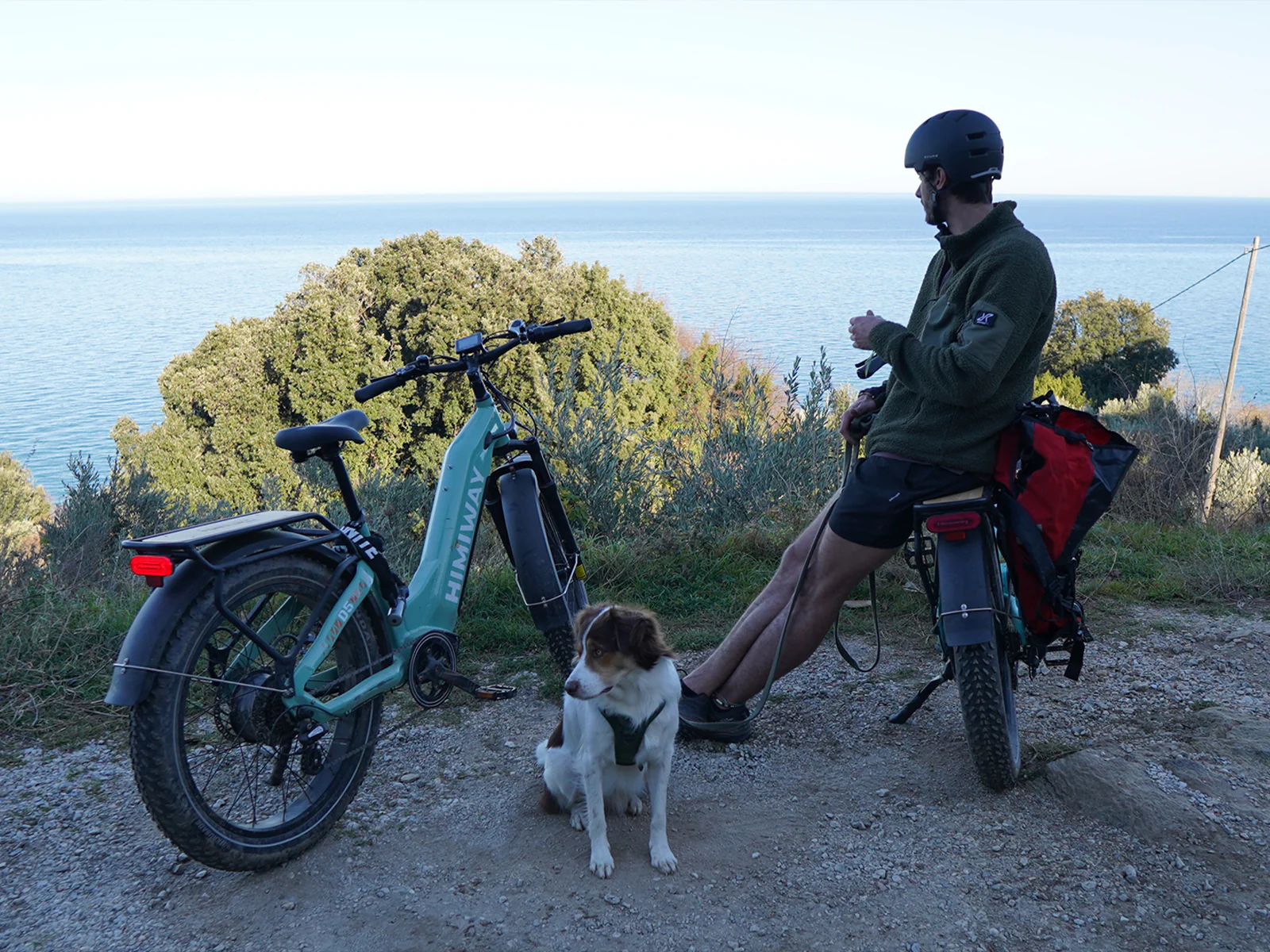 D5 ST(Zebra ST) / All-terrain Electric Fat Bike