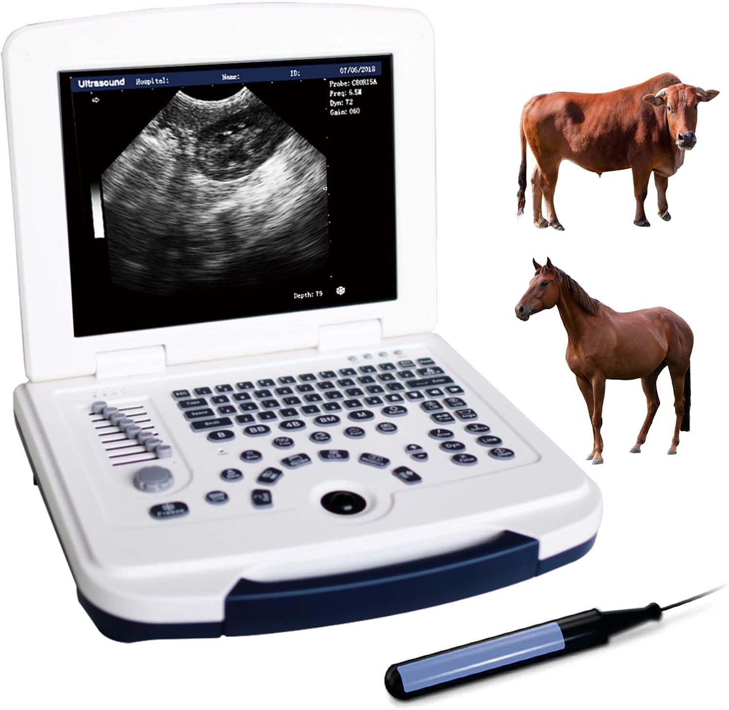 DAWEI Mu10 Veterinary Ultrasound Machine Scanner with Waterproof Probe B,BB,BM,4B for Vet Ultrasound Scanner Animals Pregnancy Examination for Dog,Sheep,Cattle,Horse,Pig (Rectal Linear Probe)