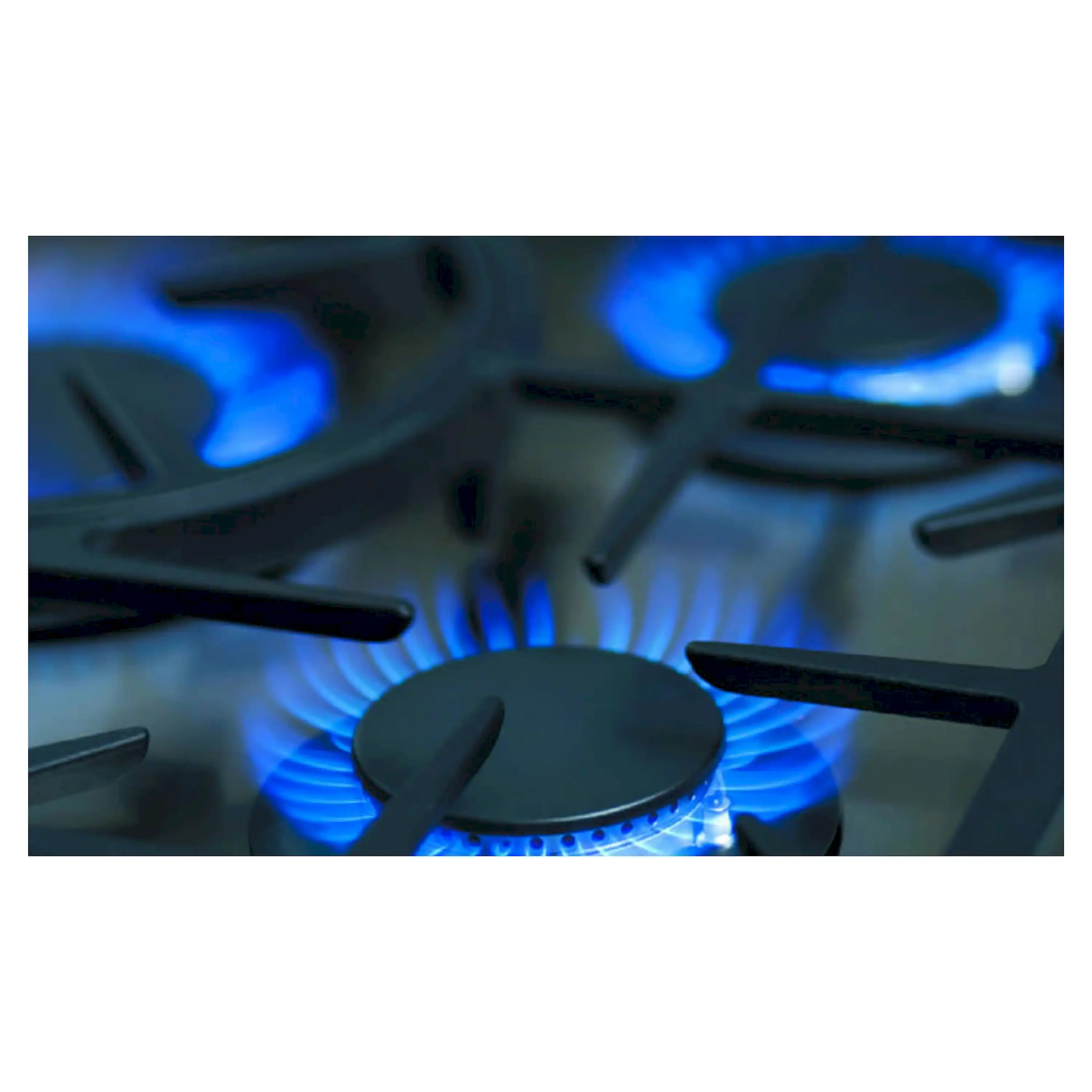 Capital 48-Inch Grand Chef Gas Range in Stainless Steel with 4 Sealed Burners & 24-Inch Open Burner Wok (GSCR484CW)