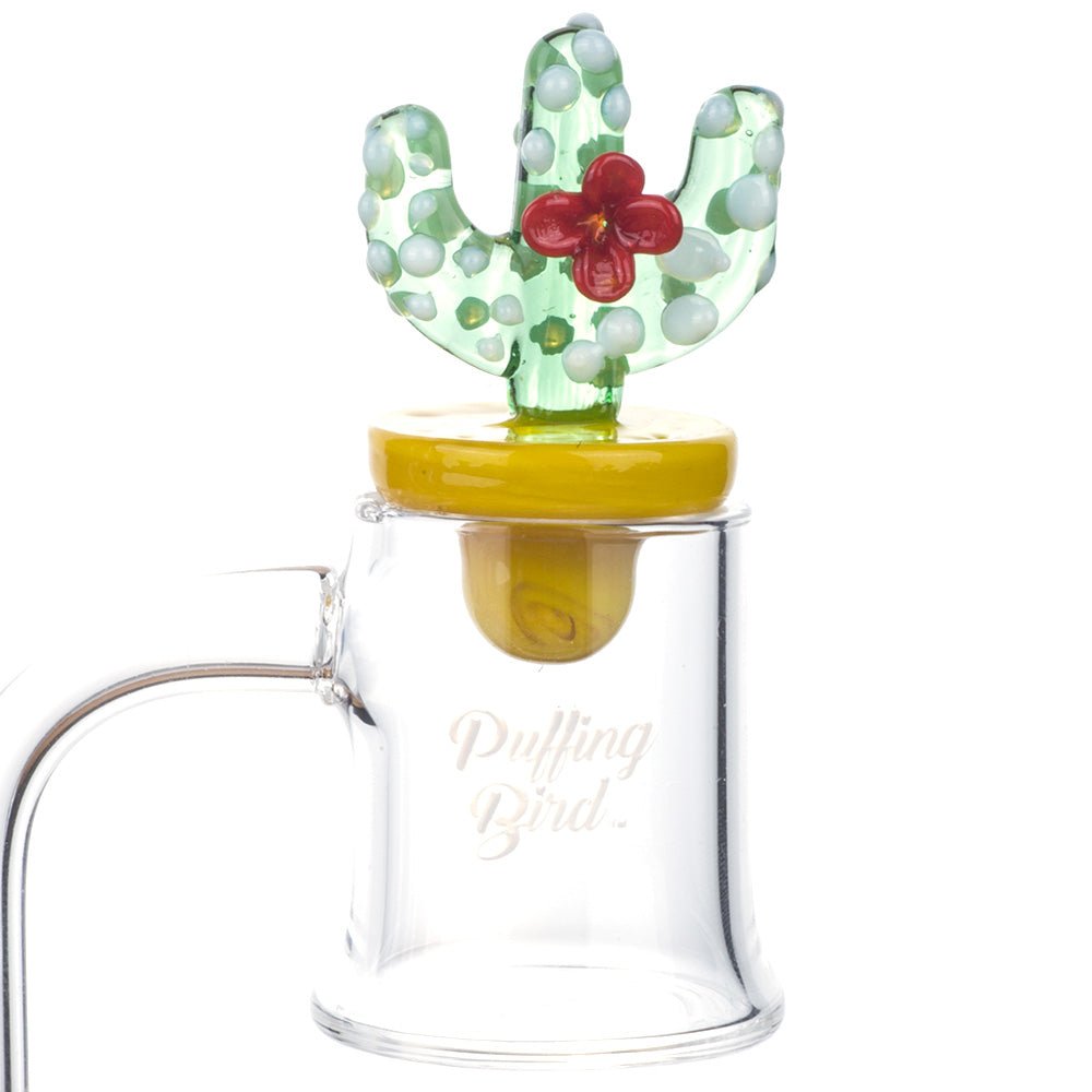 Cactus Themed Carb Cap