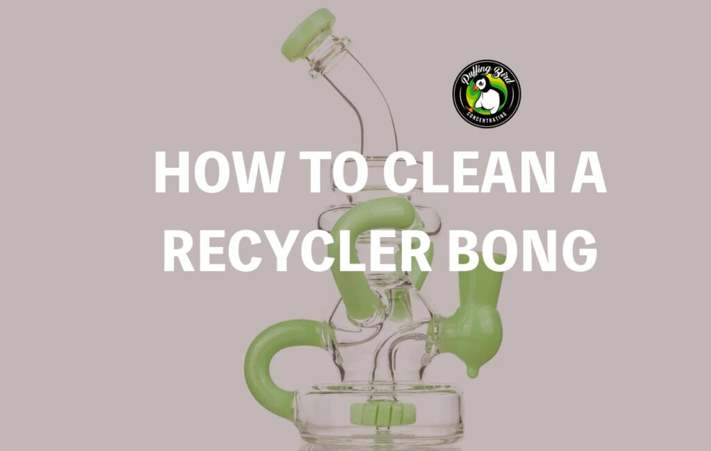 How To Clean A Recycler Bong?