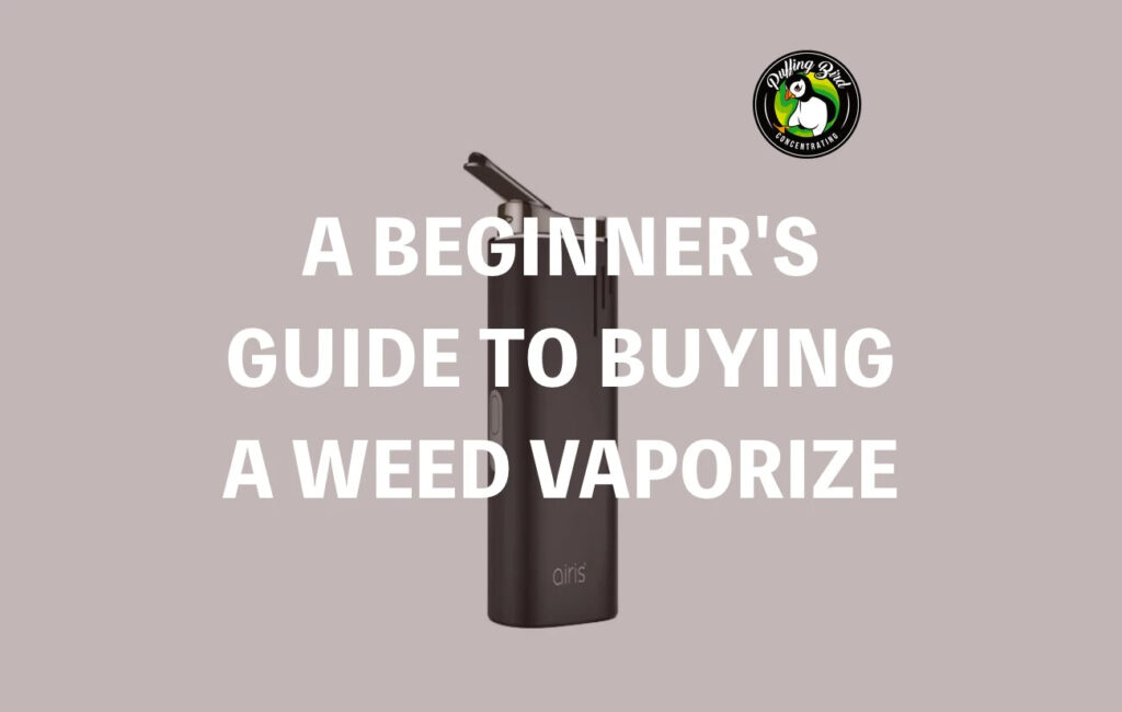 A Beginner's Guide To Buying A Weed Vaporizer