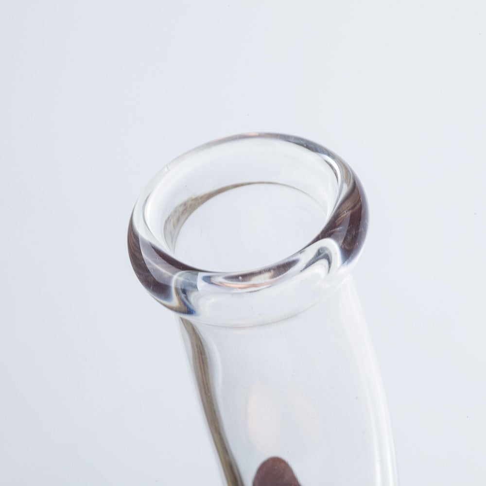 Paint Coated Dual Perc Dab Rig