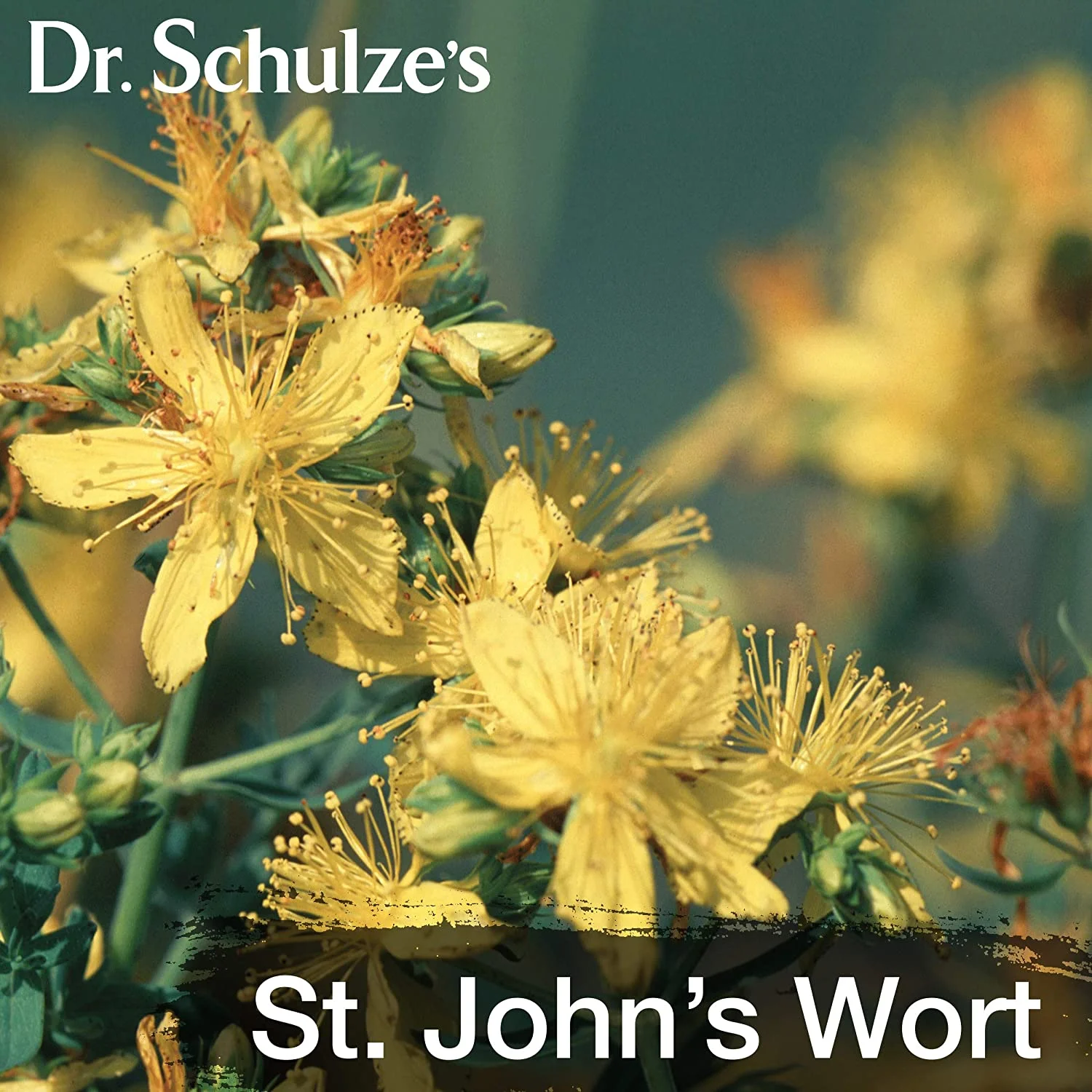 Dr. Schulze's Deep Tissue Oil Formula with Habanero Pepper, Wintergreen Oil | Powerful Herbal Support for Muscles, Tendons and Joints