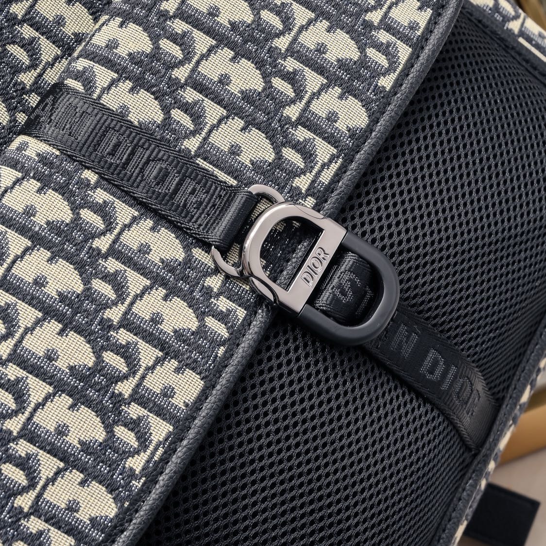Dior-Oblique-7066
