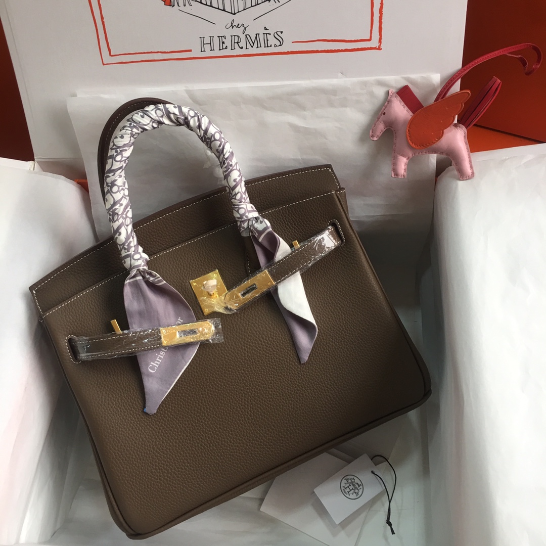 Hermès-Platinum Birkin