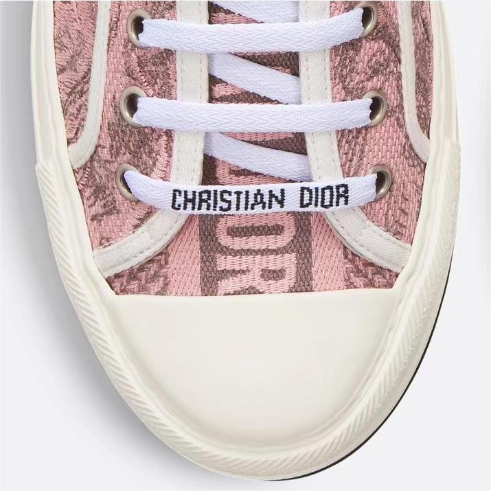 Dior-Walkn cistian paris