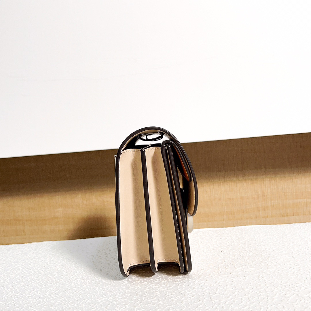 Coach-Idol series Chain crossbody bag