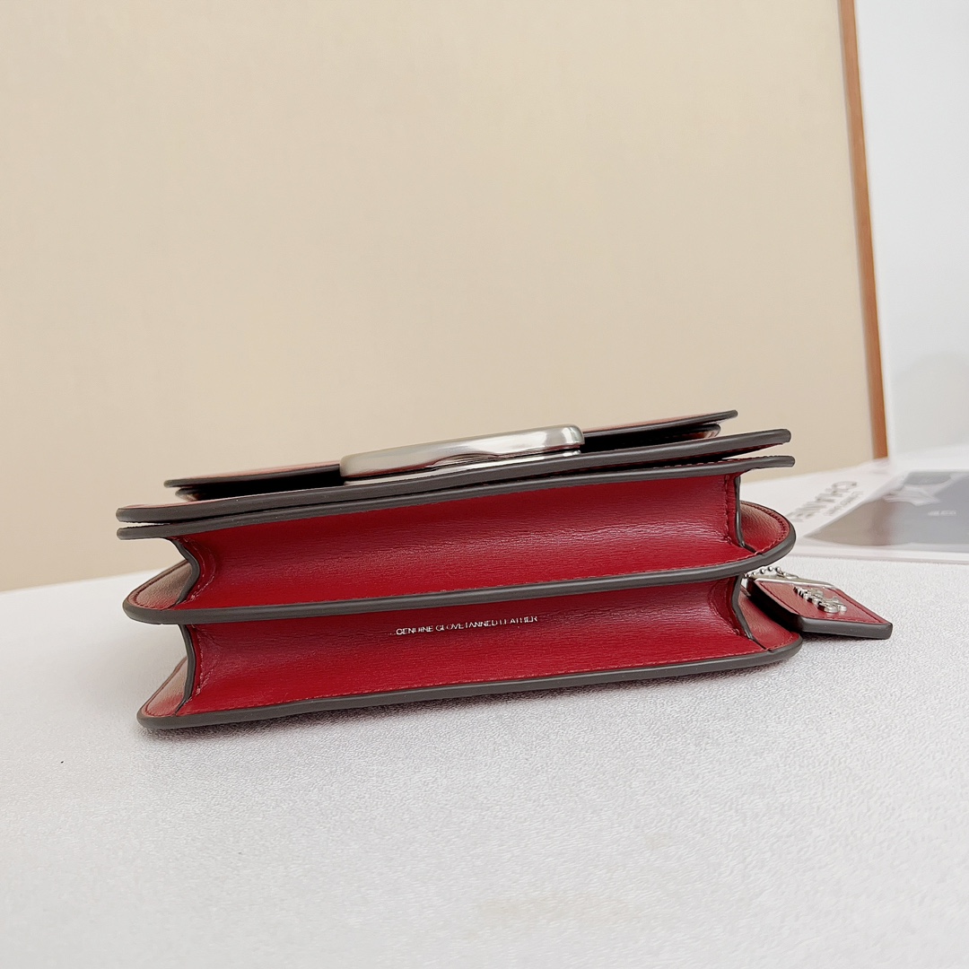 Coach-Idol Series New Organ Saddle Bag