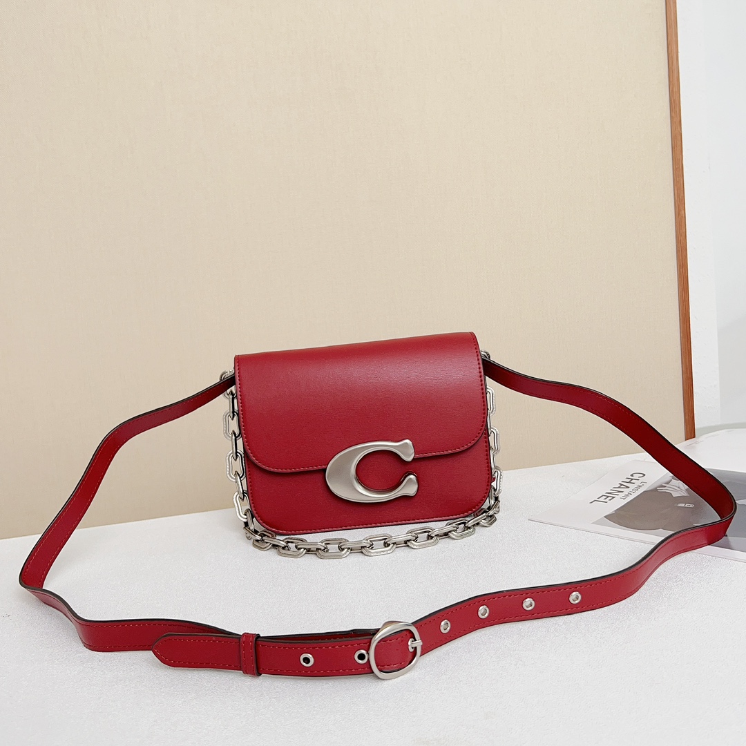 Coach-Idol Series New Organ Saddle Bag