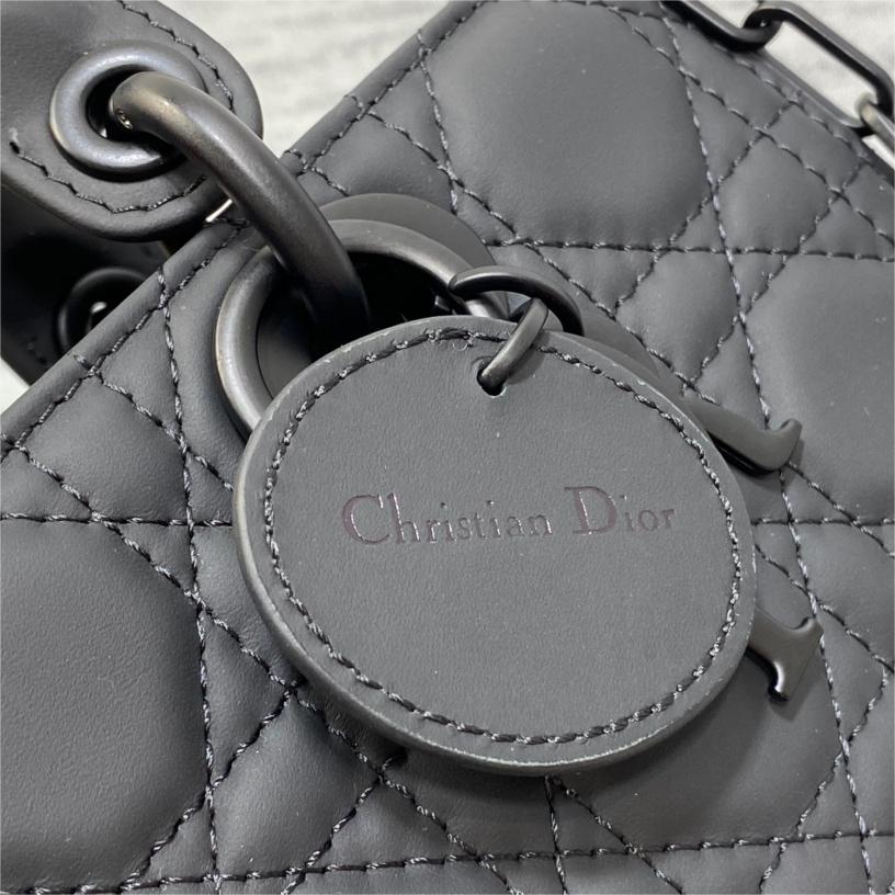 Dior-Lady horizontal version of Princess Diana frosted black bag