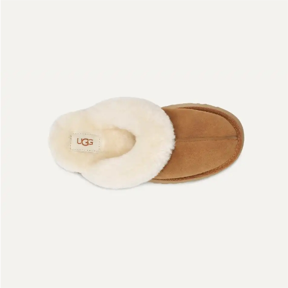 Ugg-Disquette