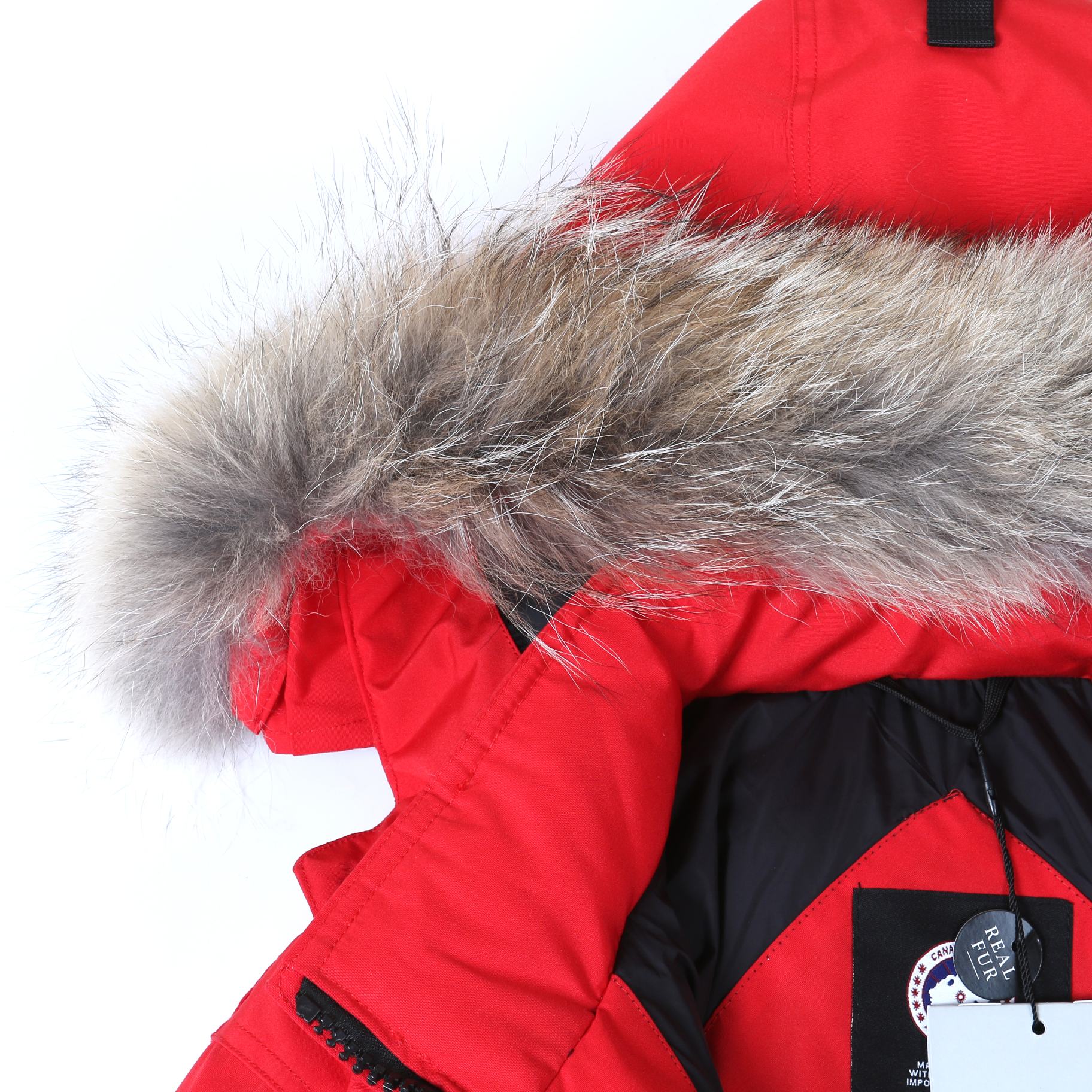 Canada Goose-07