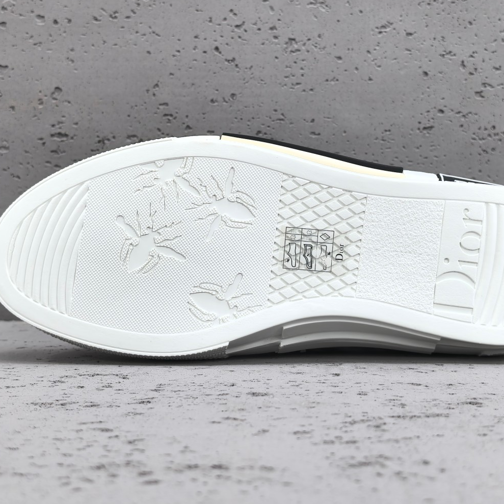 Dior-b23 Oblique Casual Shoes